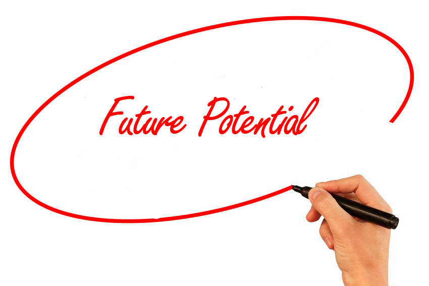 Buying an existing business: How to identify the future potential for the business?  PART 3